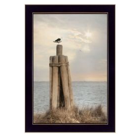 "Birds Eye View" By Lori Deiter, Printed Wall Art, Ready To Hang Framed Poster, Black Frame